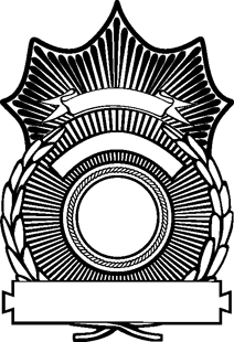 Sheriff Badges (12)